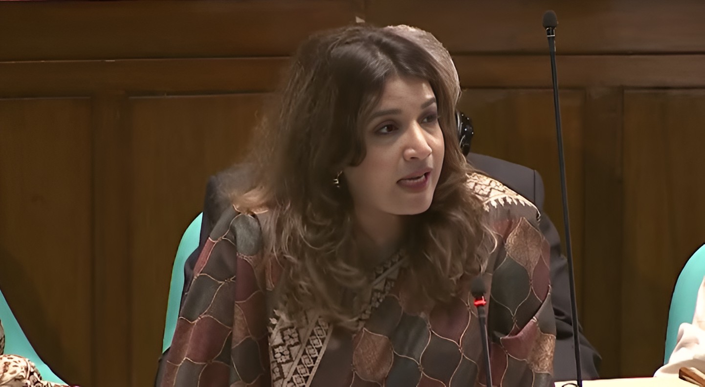 ফেসবুকে স্ট্যাটাস দিয়ে ভাইরাল হয়ে রাজনীতি হয় না : পররাষ্ট্র প্রতিমন্ত্রী